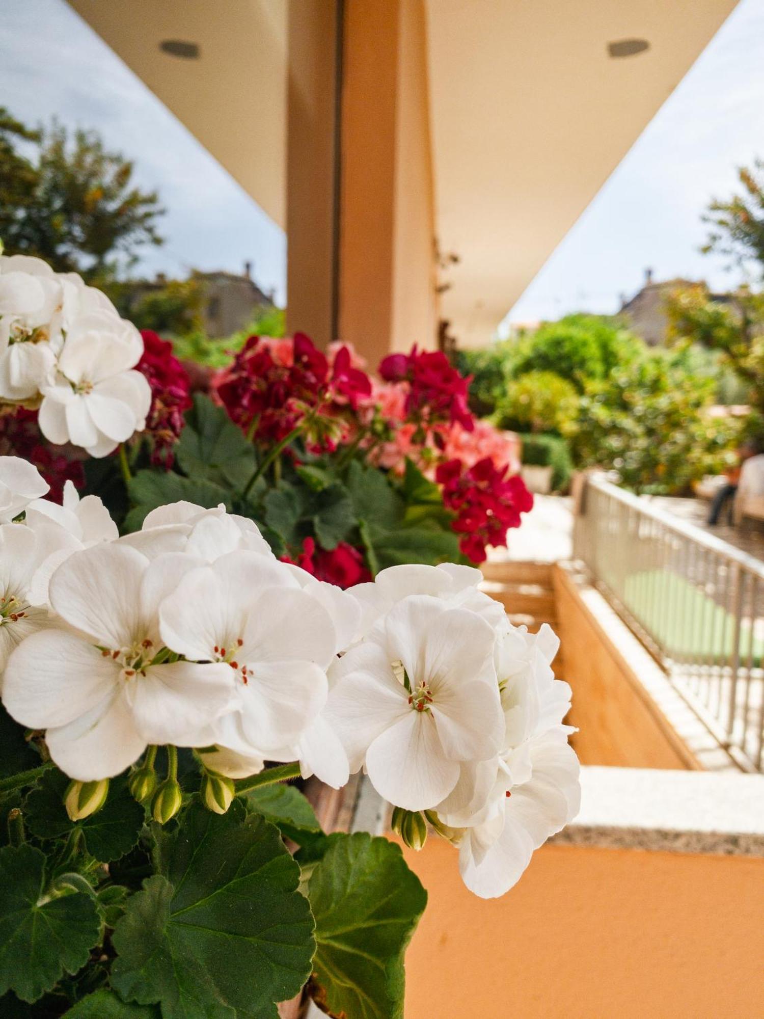 Hotel Donatella Posada  Extérieur photo